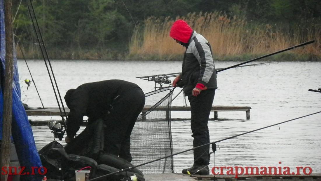 GREENFISH 2 - 1000347.jpg